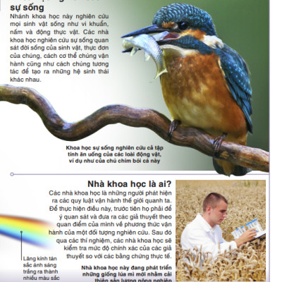 Tri Thức Trong Lòng Bàn Tay - Bách Khoa Thiếu Nhi Khoa Học (Pocket Eyewitness Science)