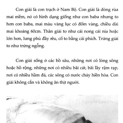 	Hỏi Đáp Về Mọi Chuyện - Khoa Học Xã Hội _HNB