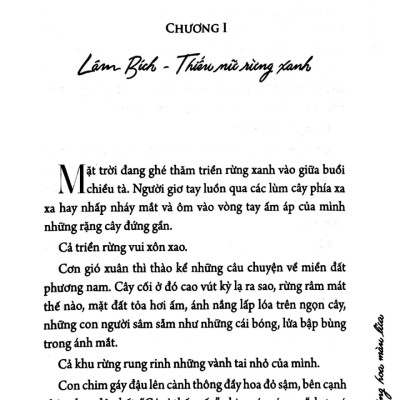 Bài Ca Về Bông Hoa Màu Lửa - PNU