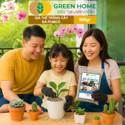 Đá Pumice Greenhome, Bao 500gr, Đất Trồng Sen Đá, Giá Thể Trồng Cây, Lót Chậu, Nhiều Khoáng Chất, Thoát Nước Tốt