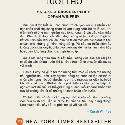 Chữa Lành Những Sang Chấn Tuổi Thơ