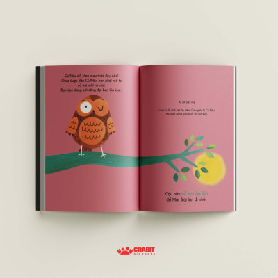 Đây Là Cú Nâu - Bìa Cứng