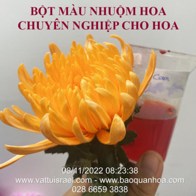 Thuốc Bột Nhuộm Hoa Tươi màu thực phẩm Ấn Độ (Combo 3 hộp tùy màu) giúp đổi màu hoa cắt cành (1 hủ pha 12L nước màu)