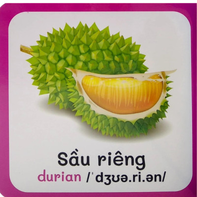 Từ Điển Bằng Hình Đầu Tiên Của Bé (VT)