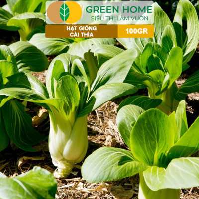 Hạt Giống Rau Cải Thìa GreenHome, GÓI 100GR, Dễ Trồng Quanh Năm, Nảy Mầm, Năng Suất Cao R32