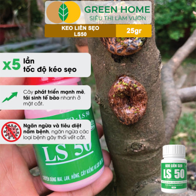 Keo Liền Sẹo LS50 Cho Cây Greenhome, Liền Nhanh Vết Cắt Da Cây, Chiết Cành, Bonsai, Lan, Kiểng Lá