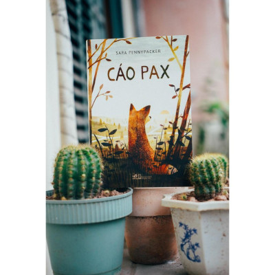 Cáo Pax - Bản Quyền