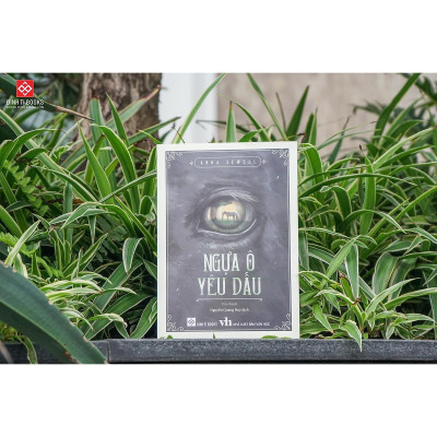 Sách - Ngựa Ô Yêu Dấu - Anna Sewell - Đinh Tị Books