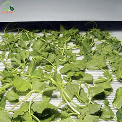 Bột Rau Má Sấy Lạnh Nguyên Chất Quảng Thanh Hộp 30gr