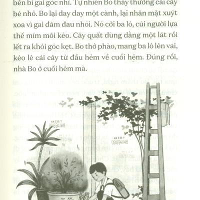 Văn học Tuổi Hoa - Cây Quất Xù Gai