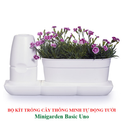 Vòng Phụ Kiện 5 Màu Color Ring Thay Thế Vòng Chậu Kit Trồng Cây Tự Dưỡng nhập khẩu Bồ Đào Nha Basic S và Basic UNO (màu trắng)