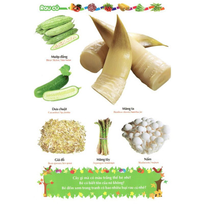 Từ Điển Tranh Về Rau Củ Quả Hoa - BÌA CỨNG (TB) - Bản Quyền