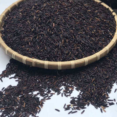 Gạo phúc thọ (Gạo lứt đen) - Tốt cho tim mạch và phòng tránh tiểu đường - Trồng ở ruộng bậc thang ở núi rừng sơn la - Chăm bón tự nhiên 