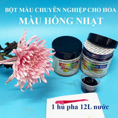 Thuốc Bột Nhuộm Hoa Tươi màu thực phẩm Ấn Độ (Combo 3 hộp tùy màu) giúp đổi màu hoa cắt cành (1 hủ pha 12L nước màu)