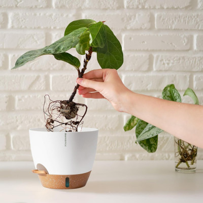 Chậu trồng cây tự tưới thông minh MONROVIA cho cây trong nhà hoặc ngoài trời, decor, văn phòng