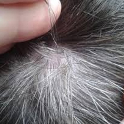HÀ THỦ Ô ĐỎ VIÊN MÈ ĐEN VÀ MẬT ONG RỪNG MẸ KEN
