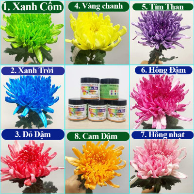 Thuốc Bột Nhuộm Hoa Tươi màu thực phẩm Ấn Độ (Combo 3 hộp tùy màu) giúp đổi màu hoa cắt cành (1 hủ pha 12L nước màu)