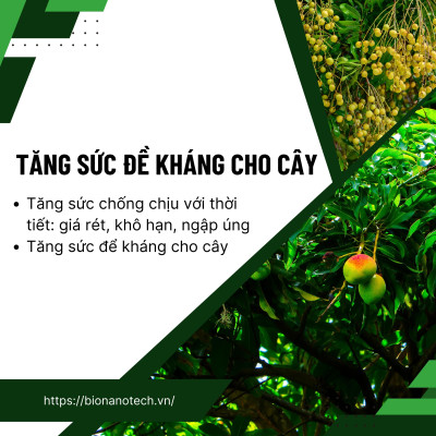 Phân bón lá vi lượng Super-Thives Plus CANXI BO KẼM giúp trái to đều, tăng tỷ lệ đậu trái và tăng sức đề kháng cho cây trồng