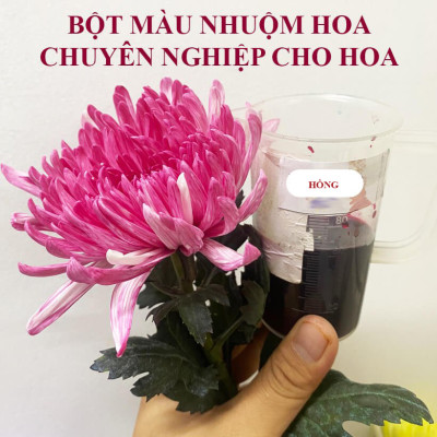 Thuốc Bột Nhuộm Hoa Tươi màu thực phẩm Ấn Độ (Combo 3 hộp tùy màu) giúp đổi màu hoa cắt cành (1 hủ pha 12L nước màu)