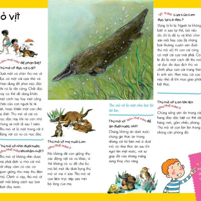 Vì Sao? Như Thế Nào? Động Vật (Tái Bản)