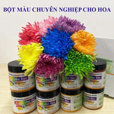 Thuốc Bột Nhuộm Hoa Tươi màu thực phẩm Ấn Độ (Combo 3 hộp tùy màu) giúp đổi màu hoa cắt cành (1 hủ pha 12L nước màu)