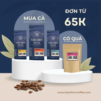 Cà phê nguyên chất BLEND B’Lao Farm 20% cà phê Robusta 80% cà phê Arabica cà phê rang mộc pha phin pha máy ngọt hậu B28