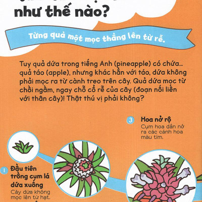 Gi Gỉ Gì Gi Cái Gì Cũng Biết - Dành Cho Lớp 2