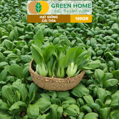 Hạt Giống Rau Cải Thìa GreenHome, GÓI 100GR, Dễ Trồng Quanh Năm, Nảy Mầm, Năng Suất Cao R32