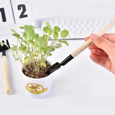 Bộ Dụng Cụ Làm Vườn Mini 3 Món