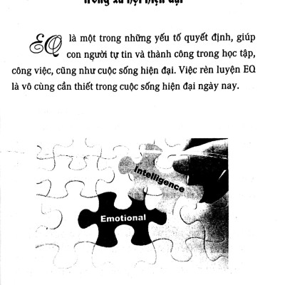 Trí Tuệ Cảm Xúc : Chìa Khóa Mở Cánh Cửa Tâm Hồn