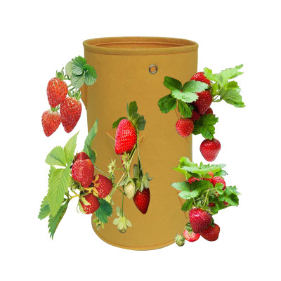 Túi Trồng Cây Bằng Vải 10 Gallon – Trồng Dâu, Cà Chua, Hoa, Rau Sạch – Có Quai, Dễ Di Chuyển