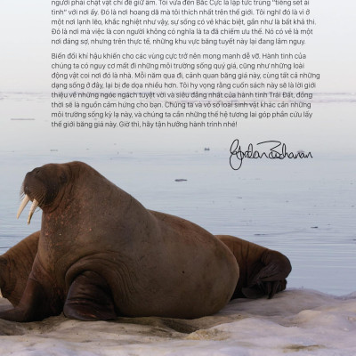 Băng - Ice - Chilling Stories From A Disappearing World (Những Câu Chuyện Ly Kỳ Từ Một Thế Giới Đang Dần Biến Mất)