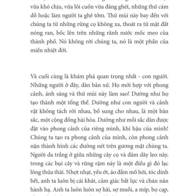 Gỗ Mun