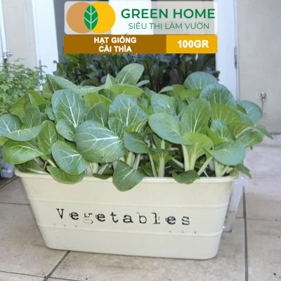 Hạt Giống Rau Cải Thìa GreenHome, GÓI 100GR, Dễ Trồng Quanh Năm, Nảy Mầm, Năng Suất Cao R32