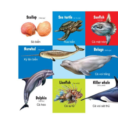 Sách - 100 Từ Đầu Tiên - Các Loài Động Vật - Song Ngữ Anh Việt - Việt Thư