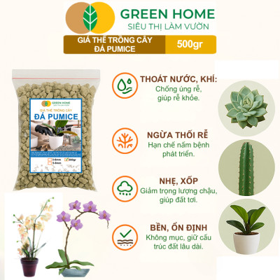 Đá Pumice Greenhome, Bao 500gr, Đất Trồng Sen Đá, Giá Thể Trồng Cây, Lót Chậu, Nhiều Khoáng Chất, Thoát Nước Tốt