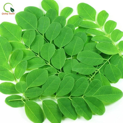 Bột Chùm Ngây Sấy Lạnh Nguyên Chất Hộp 45g  - Bột dinh dưỡng ăn dặm cho bé, tăng cường sức khỏe