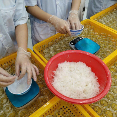 [TOP SALE] TỔ YẾN CHƯNG ĐÔNG TRÙNG HẠ THẢO 100% Tổ Yến Thật (Hàm Lượng 30%) (6 Lọ X 70ML) - Đệ Nhất Yến Đảo - Giảm Stress - Giảm Mệt Mỏi - Đẹp Da - Đẩy Lùi Lão Hóa - Điều Hòa Đường Huyết - Ổn Định Huyết Áp - Tăng Sức Đề Kháng - Tăng Sức Đề Kháng