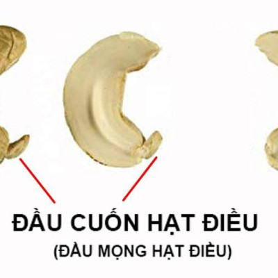 Đầu cuống hạt điều sống O