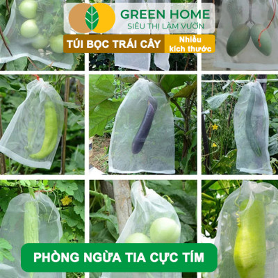 10 Túi Bọc Na Thái GreenHome, 20x25cm, Có Nút Cài, Độ Bền 3-5 Năm, Nhiều Kích thước