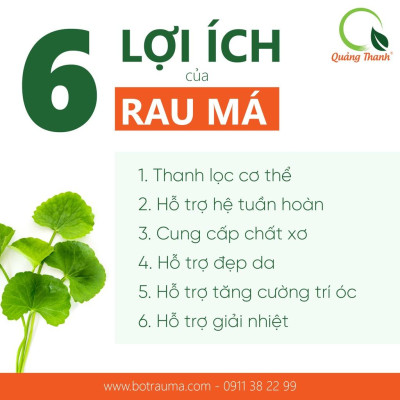 Bột Rau Má Sấy Lạnh Nguyên Chất Quảng Thanh Hộp 30gr