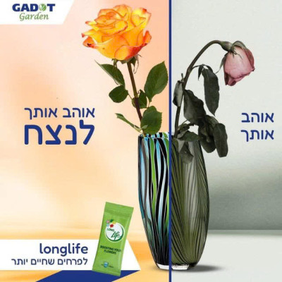 Gói Cắm Hoa Tươi Lâu Gấp 2 Lần Và 14 Ngày Không Thay Nước Loại 5gr Longlife (Bộ 50 gói)