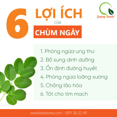 Bột Chùm Ngây Sấy Lạnh Nguyên Chất Hộp 45g  - Bột dinh dưỡng ăn dặm cho bé, tăng cường sức khỏe