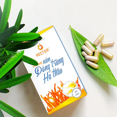 Combo 2 hộp 60 viên nang Đông trùng hạ thảo Hector (Dùng cho 2 tháng)