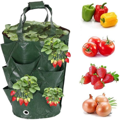 Túi Trồng Cây Bằng Vải 10 Gallon – Trồng Dâu, Cà Chua, Hoa, Rau Sạch – Có Quai, Dễ Di Chuyển