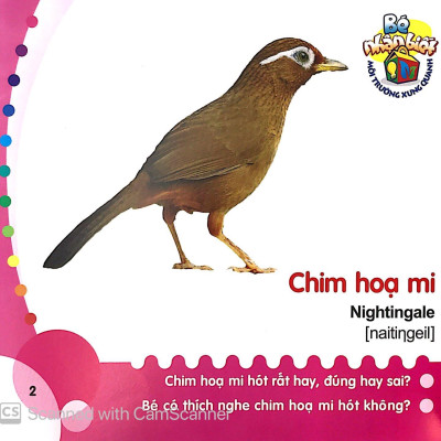 Bé Nhận Biết Môi Trường Xung Quanh (0 - 3 Tuổi) - Chim (Birds)