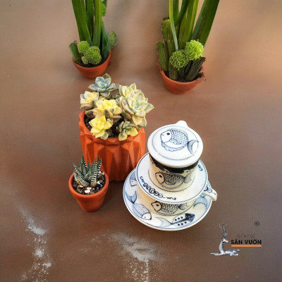 Combo 10 Chậu Cây Gốm Đất Nung (terracotta) hình Trứng Kim Cương D8xH8cm