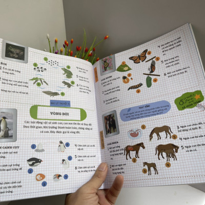 NHÀ KHOA HỌC – Tập sự – Nhiều tác giả – ETS – Alphabooks – NXB Dân Trí (Bìa mềm)