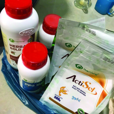 NẤM MEN SỐNG CHO TÔM GIÚP TĂNG SỨC KHỎE ĐƯỜNG RUỘT, NONG TO ĐƯỜNG RUỘT, GIÚP RUỘT ĐEN, PHÂN CHẮC, HẤP THU THỨC ĂN TỐT ACTISEL