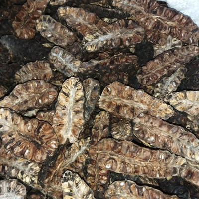 Đặc Sản Kon Tum - Quả nhàu khô tăng cường sức khỏe - Bịch 1kg - OCOP 3 Sao